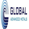 Global Advanced Metals Staff Accountant I