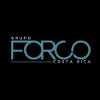 Grupo Forco. PROGRAMADOR