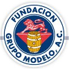 Grupo Modelo job listing