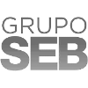 Grupo SEB Academic Performance Coach - High School