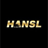 HANSL Delivery Service (DSP) Delivery Driver