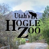 Hogle Zoo Commissary Manager