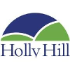 Holly Hill Hospital DIRECTOR OF ADMISSIONS (INTAKE)