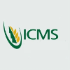 ICMS COMPANY SAFETY OFFICER