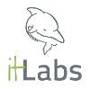 IT Labs job listing