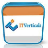 IT Verticals Inc .NET Developer