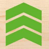 Ilim Nordic Timber GmbH & Co.KG Mitarbeiter (m/w/d) Qualitätsmanagement mit Option auf Übernahme der Abteilungsleitung