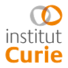 Institut Curie POST DOCTORANT EN IMMUNOLOGIE (H/F)