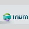 Irium Portugal Information Systems Architect