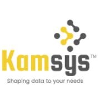 Kamsys Techsolutions India Private Limited Business Analyst