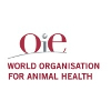 L'Organisation mondiale de la santé animale (OIE) Chef.fe du Département de la transformation numérique et des systèmes d’information (DTIS).