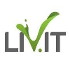 Livit Ecosystem Partner Fullstack Developer (Golang + Vue.js) (Remote)