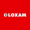 Loxam Rental Agent de Parc H/F - Reims