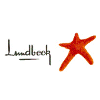 Lundbeck Technician