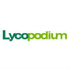 Lycopodium Lead Civil Engineer