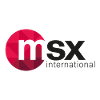 MSX INTERNATIONAL CRM Team Leader