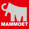 Mammoet Mechanic