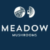 Meadow Mushrooms Harvester / Mushroom Picker