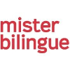 Mister Bilingue Traffic Manager SEA & Social Ads - German - Permanent Contract - Paris