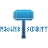 Mjolnir Security Junior Cybersecurity Analyst