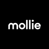 Mollie Senior Partner Manager - Belgium