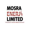 Mosra Enerji Limited Internal Control Audit Manager