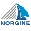 Norgine Head of Commercial Pediatric Oncology / Rare Diseases Italy