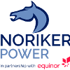 Noriker Power Ltd Project Engineer