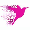 Online Birds Austria GmbH Performance Marketing Manager:in (m/w/d) Schwerpunkt SEA/SEO - Innsbruck