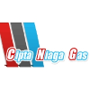 PT Cipta Niaga Gas Sales Executive