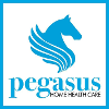 Pegasus Health job listing