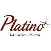 Platino Global Executive Search Administrador