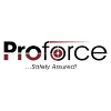 Proforce Limited Internal Audit Assistant