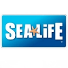 SEA LIFE Head Keeper (Aquarist)