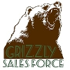 Sales Force Consulting Human Resources Generalist