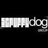 Scruffy Dog Ltd Carpenter