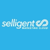 Selligent Marketing Cloud Engineering Manager