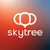 Skytree MS Dynamics Associate (Poland Office)