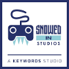 Snowed In Studios Senior UI Artist