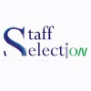 Staff Selection Ejecutivo de Venta Cambaceo Secrtor Automotirz