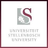 Stellenbosch University Researcher / Senior Researcher: Southern African Resilience Academy