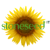 Stoneseed IT Telesales Executive