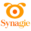 Synagie Sdn Bhd Group Accountant (Contractual - 12 months)