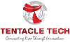 Tentacle Technologies MSC Sdn. Bhd Lead Indirect Tax Analyst