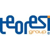 Teoresi Group Civil Work Engineer