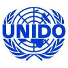 The United Nations Industrial Development Organization (UNIDO) Project Administrator