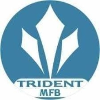 Trident Microfinance Bank Relationship Officer (Loan Officer)