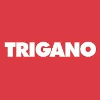 Trigano RESPONSABLE DES VENTES SUD EST FRANCE