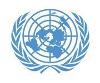 United Nations Chief, Research Innovation and Partnership Section