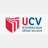 Universidad César Vallejo Trabajadora Social - Acompañamiento Académico